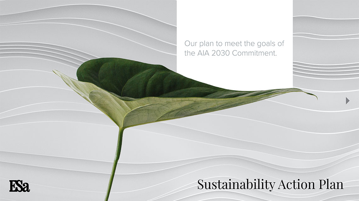 Sustainability Action Plan